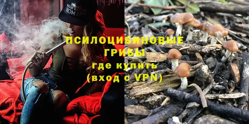 ссылка на мегу ТОР  Анива  Псилоцибиновые грибы MAGIC MUSHROOMS 